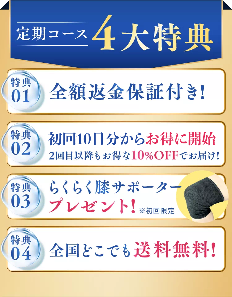 定期コース4大特典