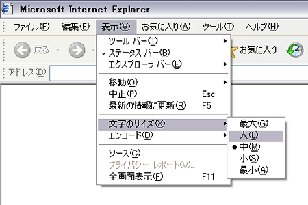 Microsoft Internet Explorer